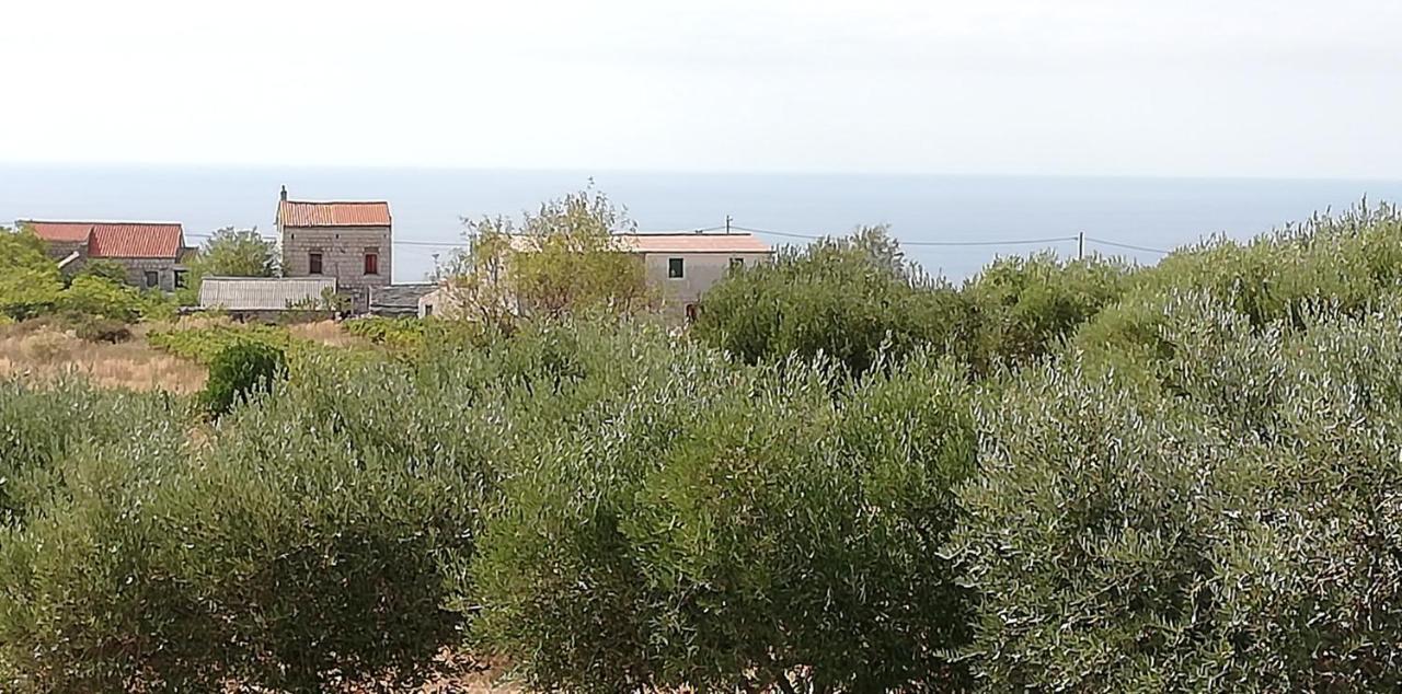 Holiday Home Burba 코미자 외부 사진